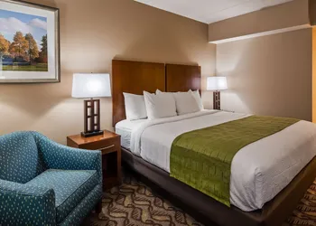 Best Western Athens hotel thumbnail 8