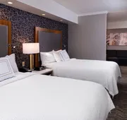 Springhill Suites by Marriott Pittsburgh North Shore hotel detail image 4