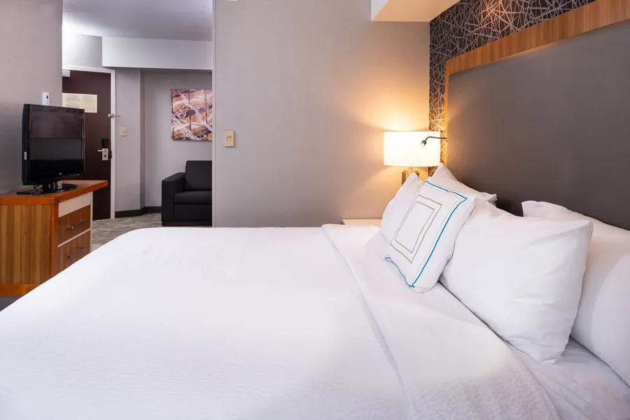 Springhill Suites by Marriott Pittsburgh North Shore hotel detail image 6