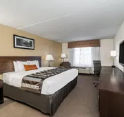 Wingate by Wyndham Bowling Green hotel detail image 7