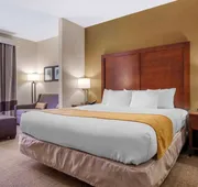 Comfort Suites Boone - University Area hotel detail image 5