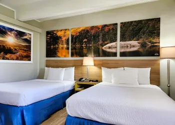 Days Inn by Wyndham Denver Downtown hotel thumbnail 6