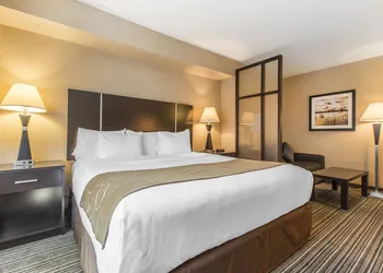 Comfort Suites Downtown hotel thumbnail 7