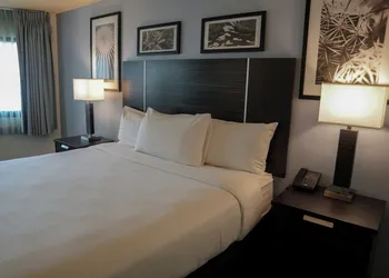 Silver Sevens Hotel and Casino, a Wyndham Garden hotel thumbnail 8
