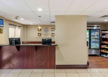 Comfort Inn St Petersburg North hotel thumbnail 2