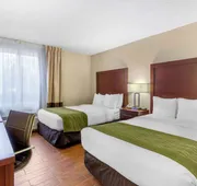 Comfort Inn St Petersburg North hotel detail image 3