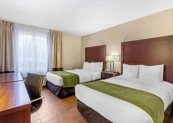 Comfort Inn St Petersburg North hotel thumbnail 3