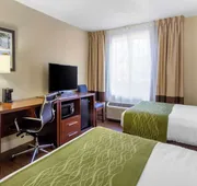 Comfort Inn St Petersburg North hotel detail image 4