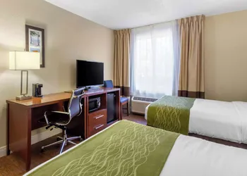 Comfort Inn St Petersburg North hotel thumbnail 4