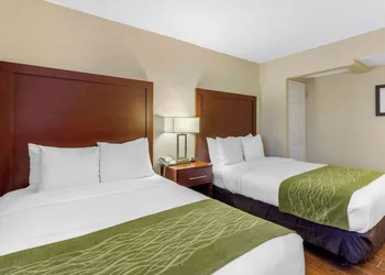 Comfort Inn St Petersburg North hotel thumbnail 6