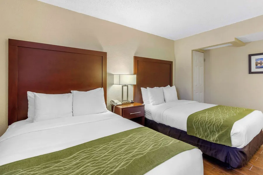 Comfort Inn St Petersburg North hotel detail image 6