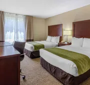 Comfort Inn St Petersburg North hotel detail image 7