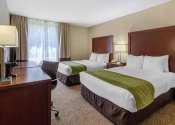 Comfort Inn St Petersburg North hotel thumbnail 7