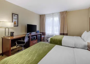 Comfort Inn St Petersburg North hotel thumbnail 8