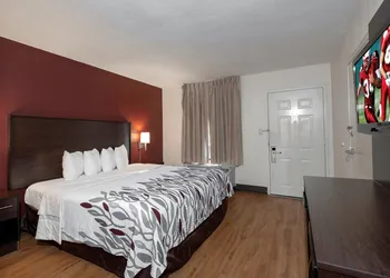 Red Roof Inn Gulf Shores hotel thumbnail 4