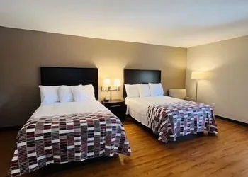 Red Roof Inn Gulf Shores hotel thumbnail 6
