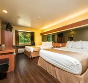 Microtel Inn & Suites by Wyndham Ocala hotel detail image 4