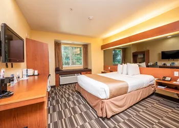 Microtel Inn & Suites by Wyndham Ocala hotel thumbnail 6