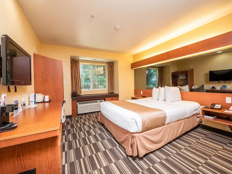 Microtel Inn & Suites by Wyndham Ocala hotel detail image 6