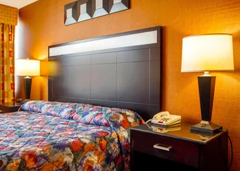 Rodeway Inn Meadowlands hotel thumbnail 8