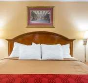 Econo Lodge Inn & Suites Macon West hotel detail image 4