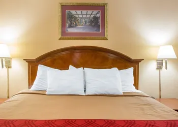 Econo Lodge Inn & Suites Macon West hotel thumbnail 4