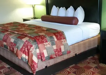 Best Western Canal Winchester Inn - Columbus South East hotel thumbnail 6