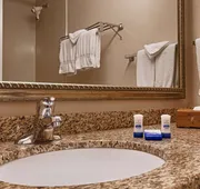 Best Western Plus Chicago Hillside hotel detail image 5