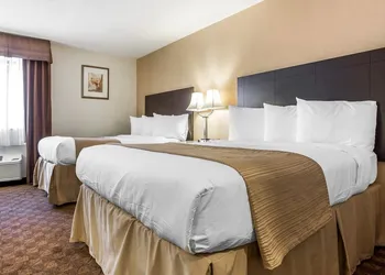 Quality Inn & Suites Coliseum hotel thumbnail 6