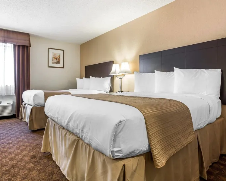 Quality Inn & Suites Coliseum hotel detail image 6