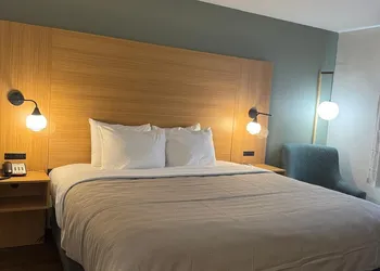 Quality Inn Orlando Near International Drive hotel thumbnail 7