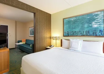 SpringHill Suites by Marriott Austin South hotel thumbnail 3