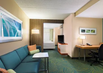 SpringHill Suites by Marriott Austin South hotel thumbnail 4