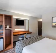Microtel Inn & Suites by Wyndham Pooler/Savannah hotel detail image 5