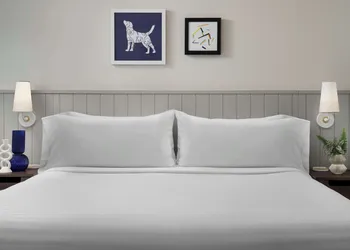 Sonesta ES Suites Chicago Downtown Magnificent Mile - Medical hotel thumbnail 8
