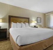 Best Western Plus Big America hotel detail image 4