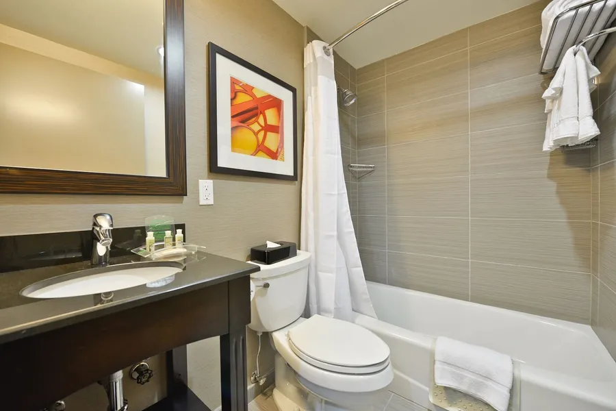 Holiday Inn NYC - Lower East Side by IHG hotel detail image 2