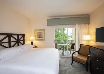 Sheraton Vistana Resort Villas, Lake Buena Vista/Orlando hotel thumbnail 5