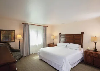 Sheraton Vistana Resort Villas, Lake Buena Vista/Orlando hotel thumbnail 7