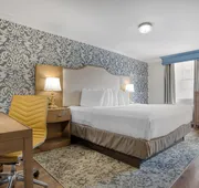 Best Western Plus French Quarter Courtyard Hotel hotel detail image 7