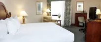 Hotel thumbnail 4
