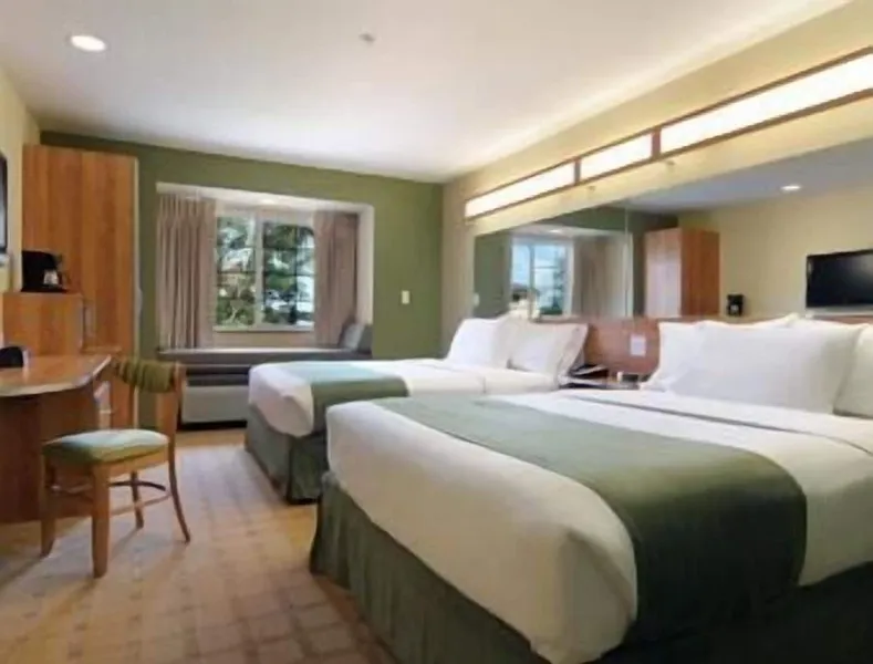 Microtel Inn & Suites by Wyndham Saraland/North Mobile hotel detail image 6