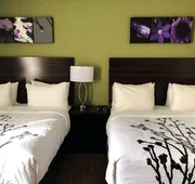 Sleep Inn & Suites Quebec City East hotel detail image 4