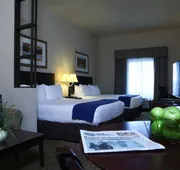 Holiday Inn Express Hotel & Suites Austell - Powder Springs by IHG hotel detail image 3