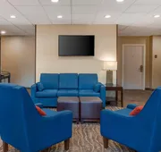 Comfort Suites Raleigh Walnut Creek hotel detail image 5