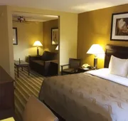 Quality Inn & Suites Syracuse Fairgrounds hotel detail image 7