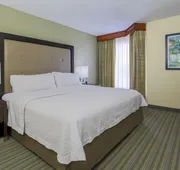 Homewood Suites by Hilton St. Petersburg Clearwater hotel detail image 7