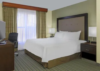 Homewood Suites by Hilton St. Petersburg Clearwater hotel thumbnail 8