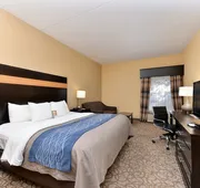 Comfort Inn & Suites at Stone Mountain hotel detail image 7