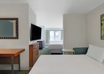 SpringHill Suites by Marriott Jacksonville hotel thumbnail 6